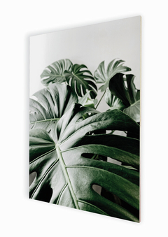 Fotografia de placa em perspectiva da planta monstera deliciosa em fundo cinza no formato retangular. Posicionada na vertical.