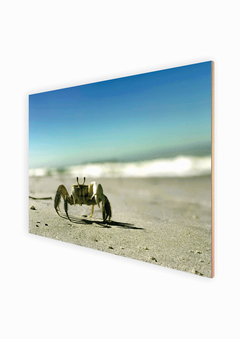 Close, fotografia em perspectiva de caranguejo na areia da praia com o mar atrás, fundo com mar e céu desfocado.