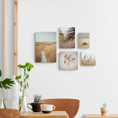 Conjunto de cinco placas dispostas em parede. Fotografias de elementos da natureza como dunas, folhas secas, capim dos pampas, concha na areia da praia e palmeira.