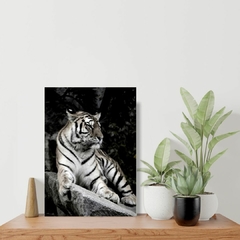 Placa decorativa Tigre sobre pedra - loja online