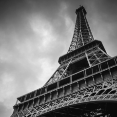 Placa decorativa Torre Eiffel em preto e branco na internet