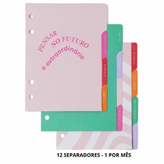 Agenda A6 CICERO 2025 Mini Planner Argolado Semanal Anotações (10,5 x 16) MELISSA CAMINHO DAS ABELHAS - loja online