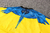 conjunto do napoli treino 21/22 kappa amarelo - calça e blusa - Phill imports store - Camisas de futebol