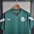 Camisa do palmeiras verde de treino 23/24 - puma na internet