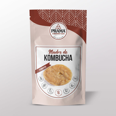 Kombucha Madre x2 gr - Prama