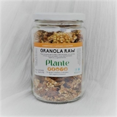 Granola Raw X300 gr - Plante