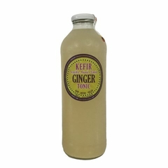 Kefir de Jengibre X1 L - Tierra Florida