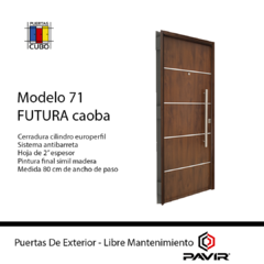 Puerta Modelo 71 Futura Simil Madera De Seguridad Hoja De 2" De 0,80 PAVIR