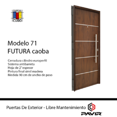 Puerta Modelo 71 Futura Simil Madera De Seguridad Hoja De 2" De 0,90 PAVIR