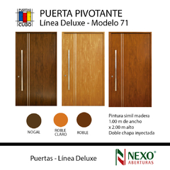 Puerta modelo 71 PIVOTANTE 1,00 X 2,00 Pintura Final Ciega de NEXO - comprar online