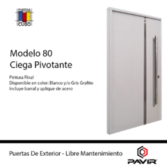 PUERTA PAVIR 80 PIVOTANTE 1,00 X 2,00 PINTURA FINAL