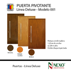 Puerta MODELO 00 PIVOTANTE 1,20 X 2,20 Pintura Final NEXO LISA SIN APLIQUES