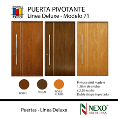 Puerta modelo 71 PIVOTANTE 1,20 X 2,20 Pintura Final Ciega de NEXO