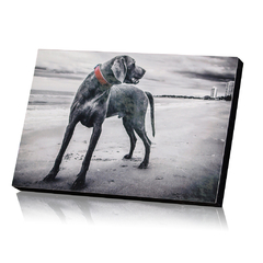 BASTIDOR 10X15 CON APOYO - comprar online