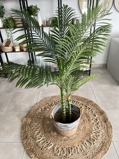 PLANTA PALMERA CATECHU 140CM. - comprar online