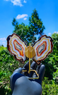 Borboleta - Ágata Natural - loja online