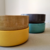 Maxi salad bowl Colors - comprar online