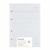 Refil Caderno Criativo Argolado Pautado Offset (40FLS/ 90G/ 17X24) - Cicero - comprar online