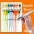 Pincel Aquash Brush Ponta Fina (Para Aquarela) - Pentel - comprar online