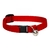 Collar para Gato RED