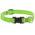 Collar para Perro con Broche GREEN DIAMOND en internet