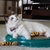 StarChaser Cat Toy - comprar en línea