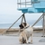 Collar para Perro con Broche MOUNTAIN LAKE - comprar en línea