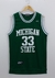 Regata Michigan State Spartans Verde - Magic Johnson #33