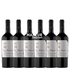 FABRE MONTMAYOU TERRUÑO CABERNET 750 X 6