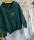 Conjunto Menino Blusa e Calça Moletom Felpado Mescla/Verde na internet