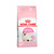 ROYAL CANIN KITTEN