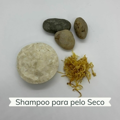 Shampoo Seco