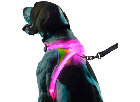 Imagem do Noxgear Lighthound Revolucionário Colete Peitoral Premium Cães 4 Tamanhos