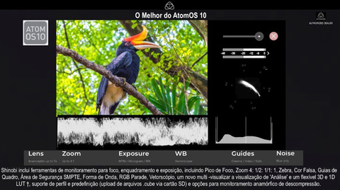 Imagem do Atomos Shinobi 5.2 Monitor + Power Kit