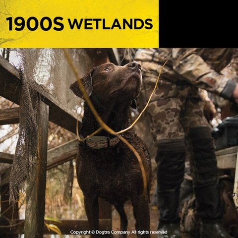 Dogtra 1900S Wetlands | Camuflagem Aquática | Cães Acima de 16 Kgs | Sistema de ALTA PERFORMANCE | Treinamento para CAÇA | Sistema com Colar Ergonômico de Treinamento Remoto | Alcance de até 1,2 Kms | IPX9K A Prova D' Água | na internet