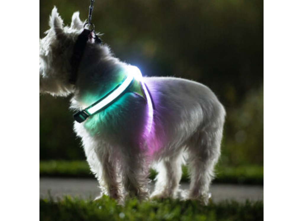 Noxgear Lighthound Revolucionário Colete Peitoral Premium Cães 4 Tamanhos - comprar online