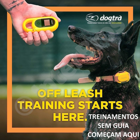 Dogtra CUE E-Collar Adicional Cor Preto