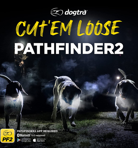 Imagem do Dogtra Pathfinder 2 para 2 Cães | Com Case de Trasnporte | E-Collar Series GPS Rastrear e Treinar | Cães Acima de 15 Kgs | Pescoços Acima de 30 cms |Alcance de até 14,5 Kms | Expansível para até 21 cães | A prova d'água | Taxa de GPS de Atualização de 2 segundos | Requer Smartphone | Sem taxa de assinatura | Mapa de satélite gratuito e OFFLINE | Não Requer Sinal de Celular