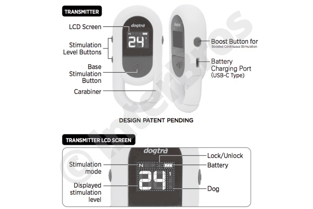 Dogtra CUE E-Collar Cores Verde e Preto Sistema de Treinamento Eletrônico à prova d'água para cães pequenos, médios e grandes 2 Cães - Loja do Jangão - InterBros