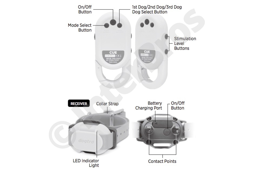 Dogtra CUE E-Collar Cor Yellow Sistema de Treinamento Eletrônico à prova d'água para cães pequenos, médios e grandes - loja online