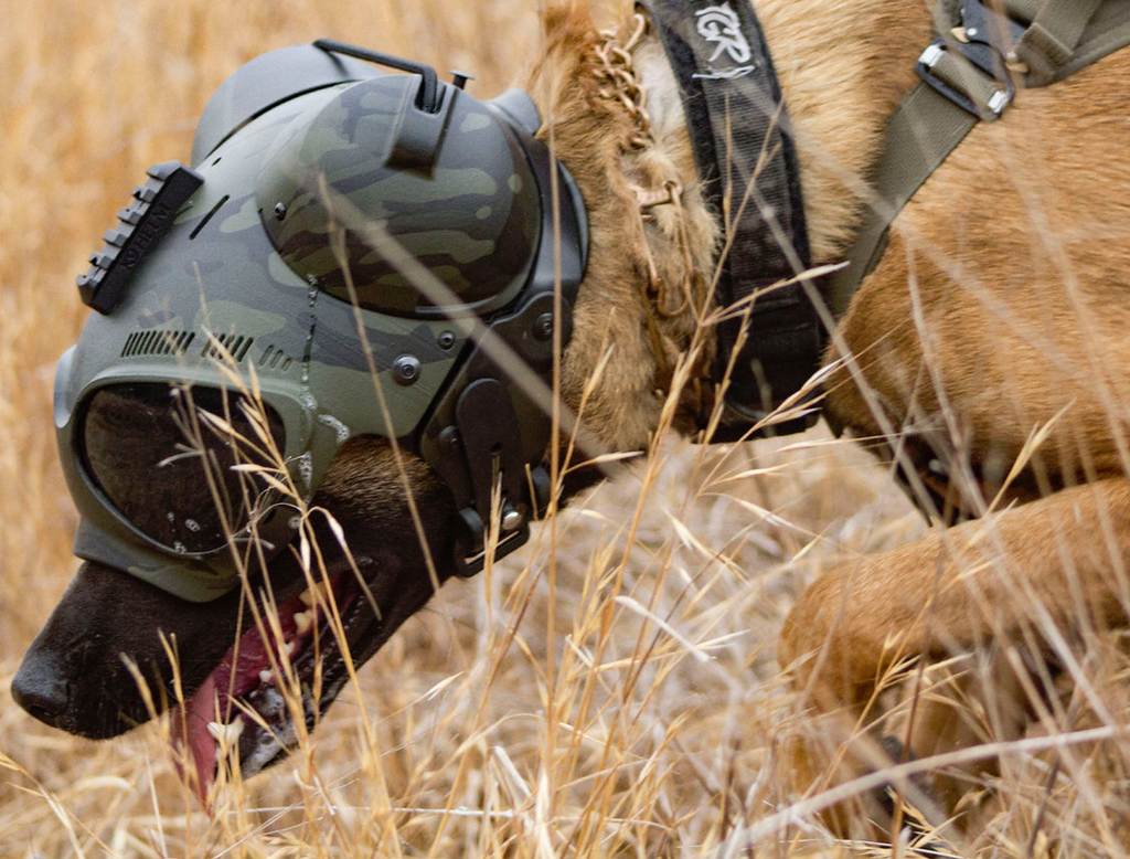 K9 Helm CS-1 GoggleHelm Covert Series Headgear , Dogs Helmet , Capacete Tático para Cães - loja online