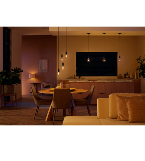 Philips Hue G125 l Lâmpada Bluetooth Filamento l Retrô Vintage l Globo Gigante l 220V l Compatível com Alexa, Apple Homekit & Google Assistant | Funciona com Bluetooth e/ou com a Hue Bridge - comprar online