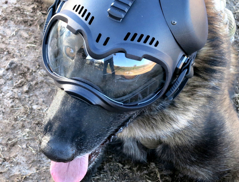 K9 Helm CS-1 GoggleHelm Covert Series Headgear , Dogs Helmet , Capacete Tático para Cães - comprar online