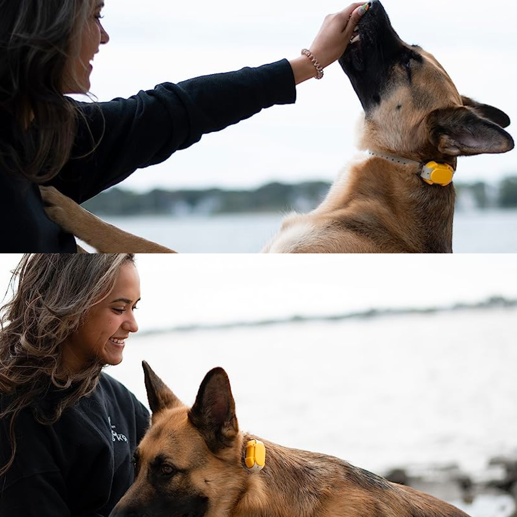 Dogtra CUE E-Collar Cores Amarelo e Preto Sistema de Treinamento Eletrônico à prova d'água para cães pequenos, médios e grandes 2 Cães - comprar online