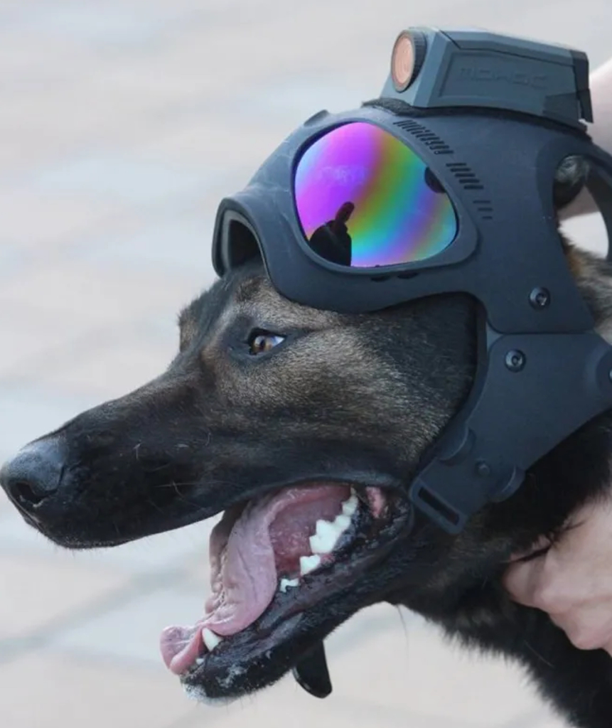 K9 Helm CS-1 GoggleHelm Covert Series Headgear , Dogs Helmet , Capacete Tático para Cães na internet