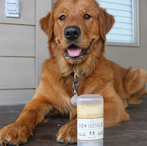 Bálsamo Curativo Orgânico Almofadas Patas Paw Soother Cães - Loja do Jangão - InterBros