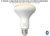 Philips Hue White Ambiance BR30 65W | 3ª Geração | Bluetooth Smart Flood Light | Lâmpada Spot de Embutir | Compatível com Alexa, Apple Homekit & Google Assistant | Funciona com Bluetooth e/ou com a Hue Bridge l Kit4 on internet