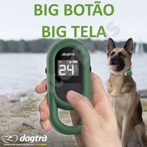 Dogtra CUE E-Collar Cores Verde e Preto Sistema de Treinamento Eletrônico à prova d'água para cães pequenos, médios e grandes 2 Cães na internet