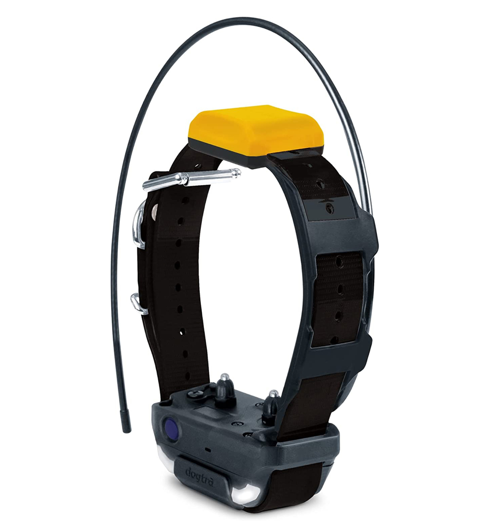 Dogtra Pathfinder 2 Colar GPS Luminoso Adicional | E-Collar Series GPS Rastrear e Treinar | Cães Acima de 15 Kgs | Pescoços Acima de 30 cms | Alcance de até 14,5 Kms | Expansível para até 21 cães | A prova d'água | - comprar online