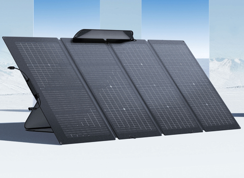 Imagem do EcoFlow 220W Solar Panel